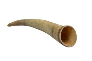 Cattle Horn S